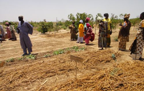 The women go outside to put into practice what they learned in the classroom.